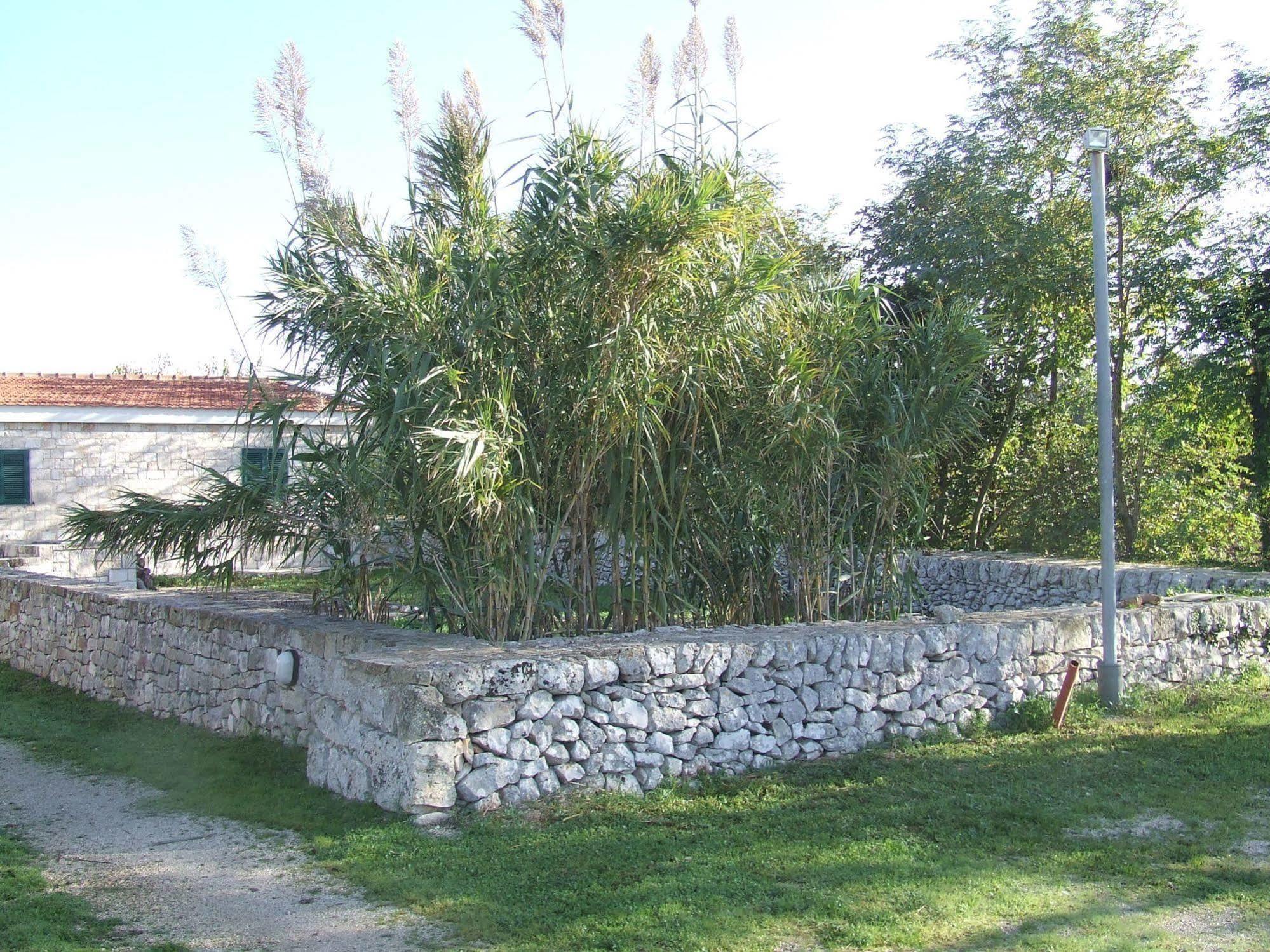 Ferienwohnung Dimora Del Sole Putignano Exterior foto